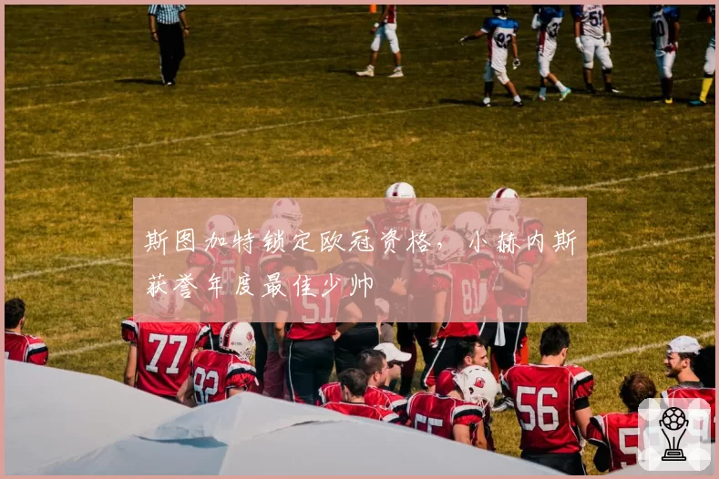 斯图加特锁定欧冠资格,小赫内斯获誉年度最佳少帅