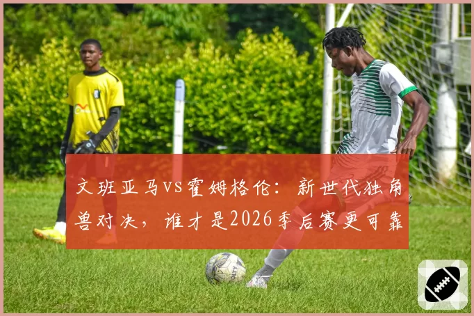 文班亚马vs霍姆格伦：新世代独角兽对决，谁才是2026季后赛更可靠的二当家？