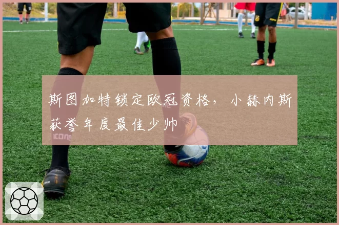 斯图加特锁定欧冠资格，小赫内斯获誉年度最佳少帅